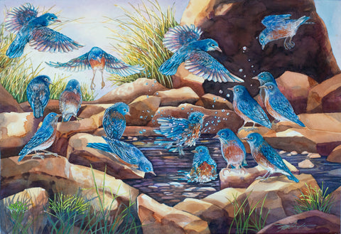 BlueBird Bathtime